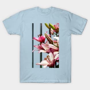 Fresh pink lilies at the fence background T-Shirt